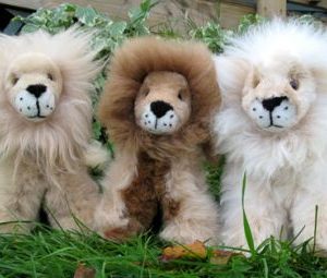 Alpaca Sitting Lions