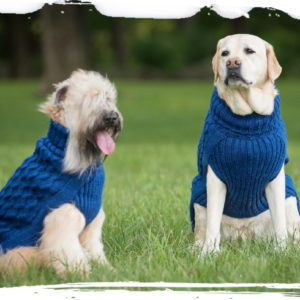 Alpaca Royal Blue Dog Sweater