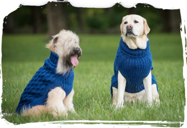 Alpaca Royal Blue Dog Sweater