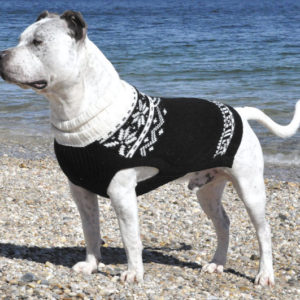Phuyu Dog Sweater