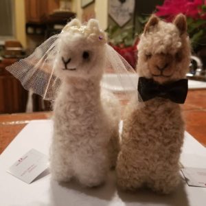 Alpacally Ever After Bride and Groom Set