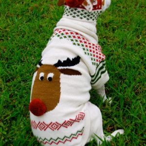Rudy Dog Sweater