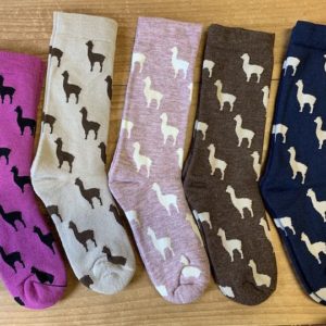 Alpaca Design Sock