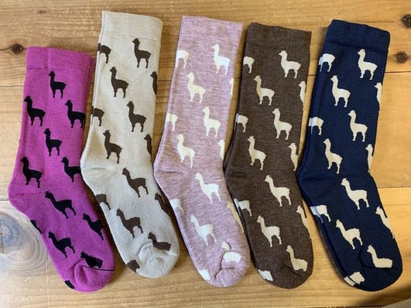 Alpaca Design Sock