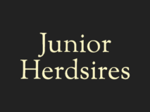 Junior Herdsires